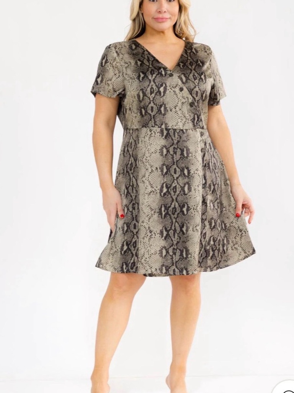 Plus Size Snake-Print wrap V-Neck A-Line Dress - Taupe/Black